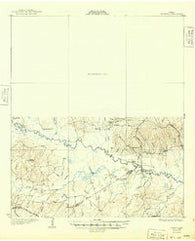 Manning Texas Historical topographic map, 1:62500 scale, 15 X 15 Minute, Year 1932