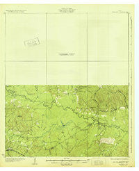 Manning Texas Historical topographic map, 1:62500 scale, 15 X 15 Minute, Year 1932