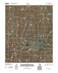 Many Post Camp Texas Historical topographic map, 1:24000 scale, 7.5 X 7.5 Minute, Year 2010