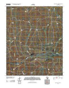 Many Post Camp Texas Historical topographic map, 1:24000 scale, 7.5 X 7.5 Minute, Year 2010