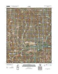 Many Post Camp Texas Historical topographic map, 1:24000 scale, 7.5 X 7.5 Minute, Year 2012