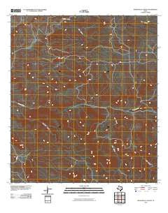 Manzanillo Canyon Texas Historical topographic map, 1:24000 scale, 7.5 X 7.5 Minute, Year 2010