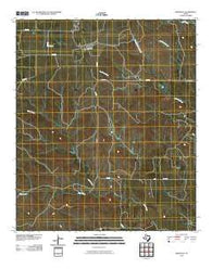 Maryneal Texas Historical topographic map, 1:24000 scale, 7.5 X 7.5 Minute, Year 2010