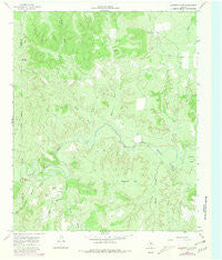 Maverick Flat Texas Historical topographic map, 1:24000 scale, 7.5 X 7.5 Minute, Year 1966
