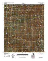 Maverick Creek Texas Historical topographic map, 1:24000 scale, 7.5 X 7.5 Minute, Year 2010