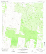McAllen Ranch Texas Historical topographic map, 1:24000 scale, 7.5 X 7.5 Minute, Year 1972