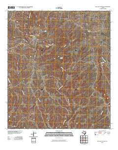 McClain Canyon Texas Historical topographic map, 1:24000 scale, 7.5 X 7.5 Minute, Year 2010