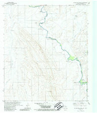 McCutchen Ranch Texas Historical topographic map, 1:24000 scale, 7.5 X 7.5 Minute, Year 1979
