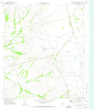 McElroy Ranch Texas Historical topographic map, 1:24000 scale, 7.5 X 7.5 Minute, Year 1971