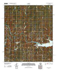 McEwen Draw Texas Historical topographic map, 1:24000 scale, 7.5 X 7.5 Minute, Year 2010