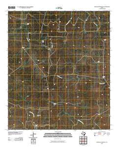 McKegan Draw NE Texas Historical topographic map, 1:24000 scale, 7.5 X 7.5 Minute, Year 2010