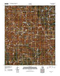 McLeod Texas Historical topographic map, 1:24000 scale, 7.5 X 7.5 Minute, Year 2010