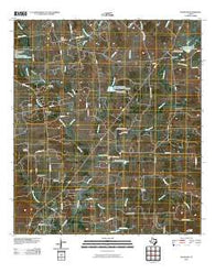 McMahan Texas Historical topographic map, 1:24000 scale, 7.5 X 7.5 Minute, Year 2010