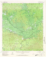 Mc Gee Bend Texas Historical topographic map, 1:62500 scale, 15 X 15 Minute, Year 1958