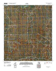 Mertzon SW Texas Historical topographic map, 1:24000 scale, 7.5 X 7.5 Minute, Year 2010
