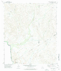 Mesquite Spring Texas Historical topographic map, 1:24000 scale, 7.5 X 7.5 Minute, Year 1972