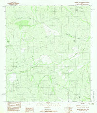 Mesteno Creek North Texas Historical topographic map, 1:24000 scale, 7.5 X 7.5 Minute, Year 1982