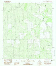Mesteno Creek South Texas Historical topographic map, 1:24000 scale, 7.5 X 7.5 Minute, Year 1982