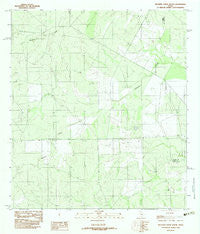 Mesteno Creek South Texas Historical topographic map, 1:24000 scale, 7.5 X 7.5 Minute, Year 1982