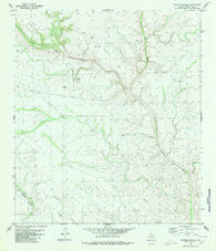 Meyers Canyon Texas Historical topographic map, 1:24000 scale, 7.5 X 7.5 Minute, Year 1980