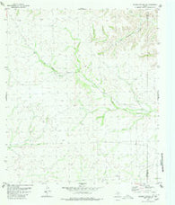 Meyers Canyon NE Texas Historical topographic map, 1:24000 scale, 7.5 X 7.5 Minute, Year 1980