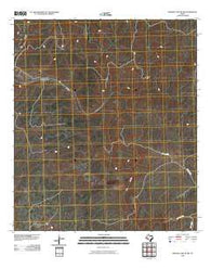 Meyers Canyon NW Texas Historical topographic map, 1:24000 scale, 7.5 X 7.5 Minute, Year 2010