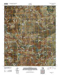 Middleton Texas Historical topographic map, 1:24000 scale, 7.5 X 7.5 Minute, Year 2010