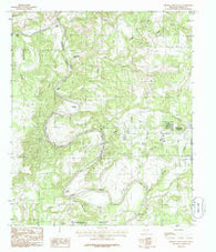Mineral Wells West Texas Historical topographic map, 1:24000 scale, 7.5 X 7.5 Minute, Year 1984