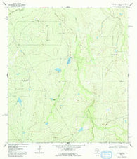 Mirasol Creek Texas Historical topographic map, 1:24000 scale, 7.5 X 7.5 Minute, Year 1969