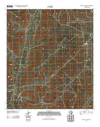 Mitchell Canyon Texas Historical topographic map, 1:24000 scale, 7.5 X 7.5 Minute, Year 2010