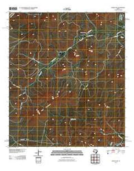 Mitre Peak Texas Historical topographic map, 1:24000 scale, 7.5 X 7.5 Minute, Year 2010