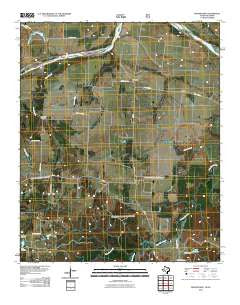 Monkstown Texas Historical topographic map, 1:24000 scale, 7.5 X 7.5 Minute, Year 2010