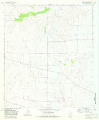 Moore Ranch Texas Historical topographic map, 1:24000 scale, 7.5 X 7.5 Minute, Year 1964