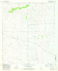 Moore Ranch Texas Historical topographic map, 1:24000 scale, 7.5 X 7.5 Minute, Year 1964