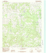 Moore Station Texas Historical topographic map, 1:24000 scale, 7.5 X 7.5 Minute, Year 1984