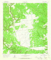 Morales Texas Historical topographic map, 1:24000 scale, 7.5 X 7.5 Minute, Year 1964
