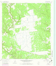Morales Texas Historical topographic map, 1:24000 scale, 7.5 X 7.5 Minute, Year 1964
