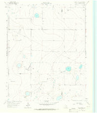 Moran Ranch Texas Historical topographic map, 1:24000 scale, 7.5 X 7.5 Minute, Year 1963