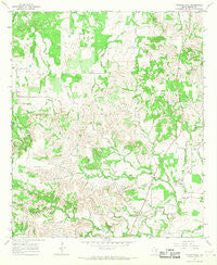 Morgan Mill Texas Historical topographic map, 1:24000 scale, 7.5 X 7.5 Minute, Year 1965