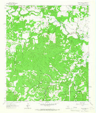 Morris Ranch Texas Historical topographic map, 1:24000 scale, 7.5 X 7.5 Minute, Year 1964