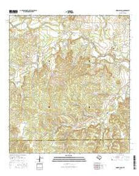 Morris Ranch Texas Current topographic map, 1:24000 scale, 7.5 X 7.5 Minute, Year 2016