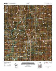 Mount Enterprise Texas Historical topographic map, 1:24000 scale, 7.5 X 7.5 Minute, Year 2010