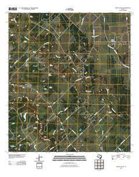 Mount Olive Texas Historical topographic map, 1:24000 scale, 7.5 X 7.5 Minute, Year 2010