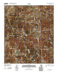 Mount Selman Texas Historical topographic map, 1:24000 scale, 7.5 X 7.5 Minute, Year 2010