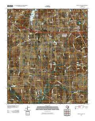 Mount Sylvan Texas Historical topographic map, 1:24000 scale, 7.5 X 7.5 Minute, Year 2010