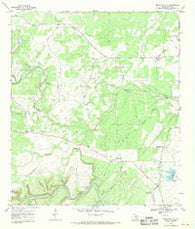 Mountain City Texas Historical topographic map, 1:24000 scale, 7.5 X 7.5 Minute, Year 1968