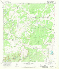 Mountain City Texas Historical topographic map, 1:24000 scale, 7.5 X 7.5 Minute, Year 1968