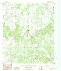 Mountain Pass Texas Historical topographic map, 1:24000 scale, 7.5 X 7.5 Minute, Year 1984