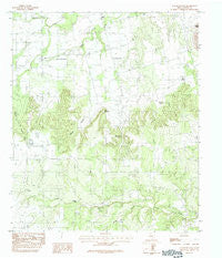 Mountain Pass Texas Historical topographic map, 1:24000 scale, 7.5 X 7.5 Minute, Year 1984