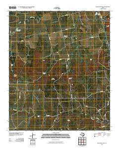 Mountain Pass Texas Historical topographic map, 1:24000 scale, 7.5 X 7.5 Minute, Year 2010